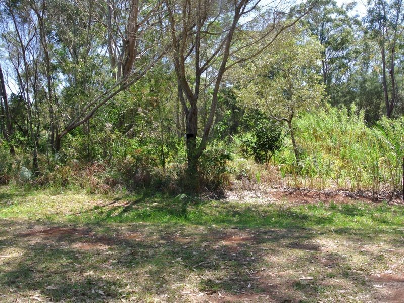 31 Norfolk, Russell Island QLD 4184