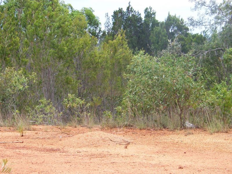 20 Opal COURT, Russell Island QLD 4184