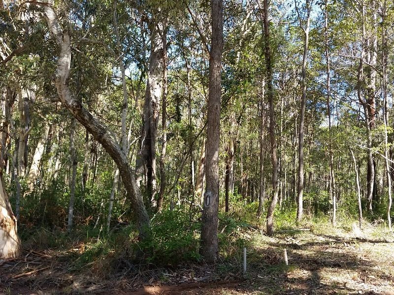 54 Shore Street, Russell Island QLD 4184