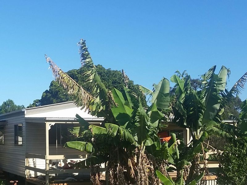 8 Pao Pao Road, Russell Island QLD 4184
