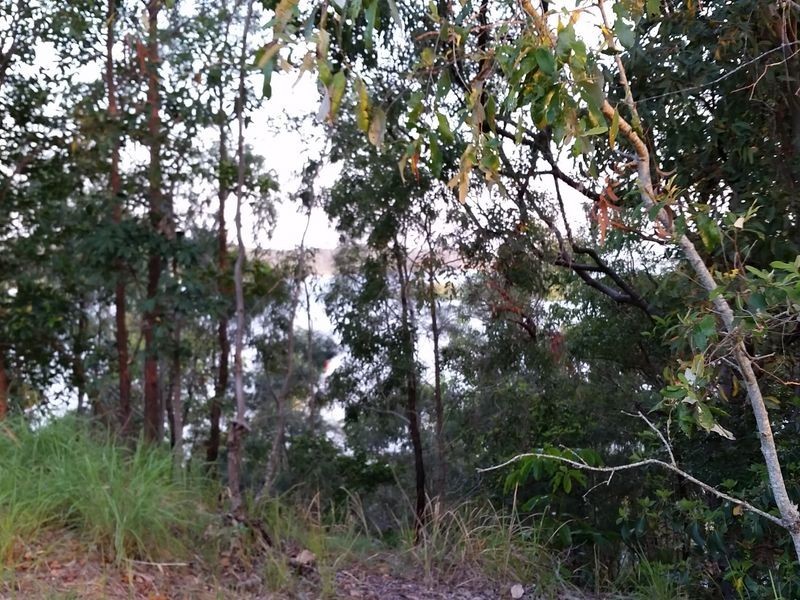 100 Crescent Drive, Russell Island QLD 4184