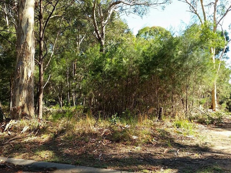 25 Rossi Avenue, Russell Island QLD 4184