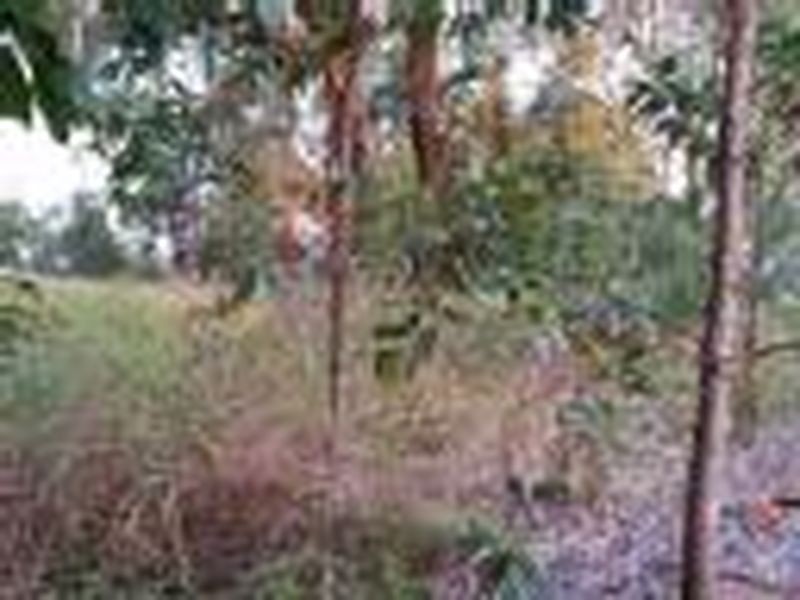 100 CRESCENT DR, Russell Island QLD 4184