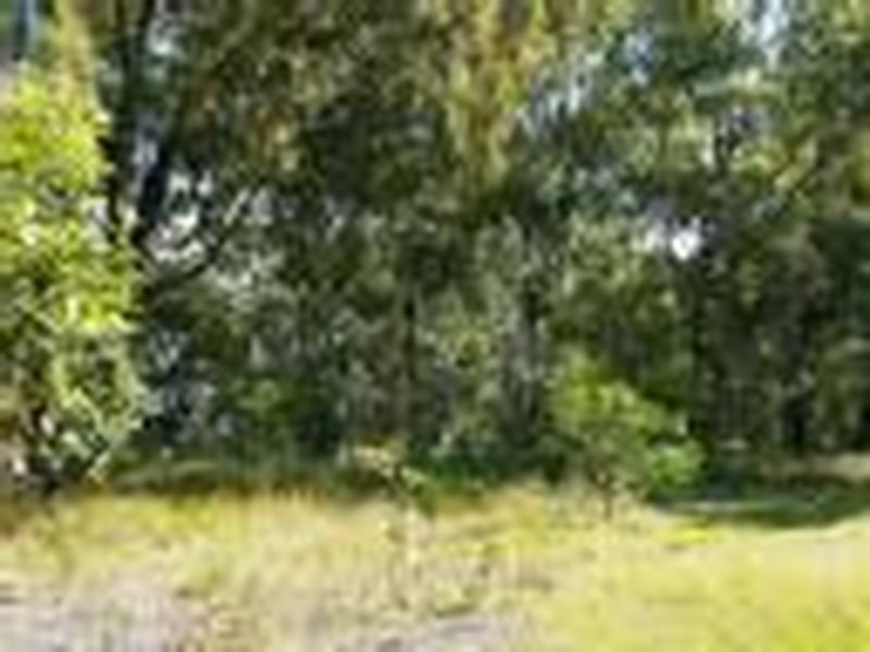 100 CRESCENT DR, Russell Island QLD 4184