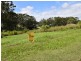 19 Mountain View Cres, Russell Island QLD 4184