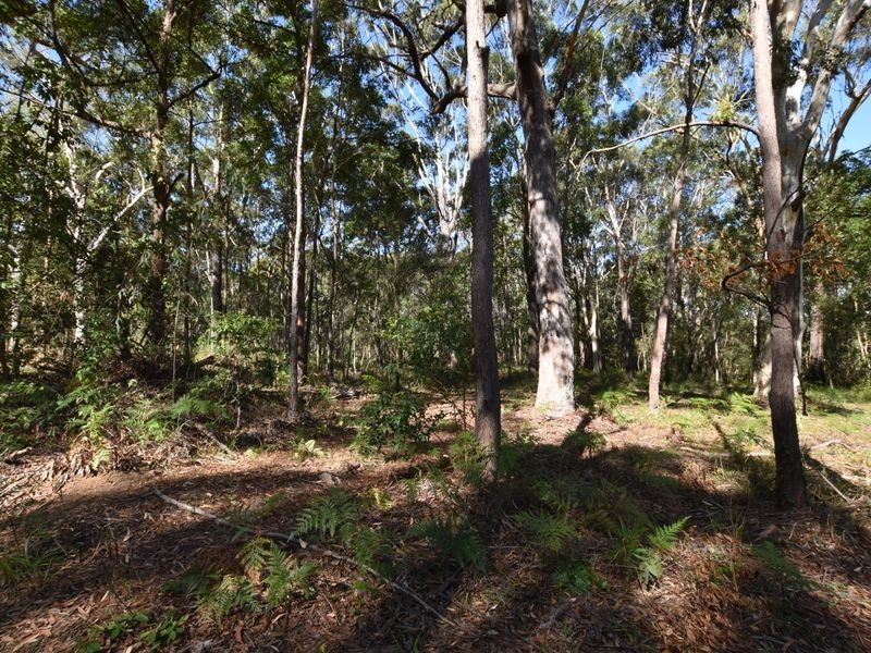 40 Currong, Russell Island QLD 4184