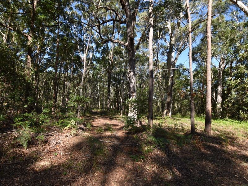 40 Currong, Russell Island QLD 4184