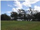 Willes Street, Russell Island QLD 4184