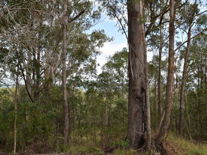 48 Deenya Pde, Russell Island QLD 4184