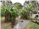 29 Letitia, Russell Island QLD 4184