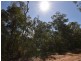 51 Cunningham Ave, Russell Island QLD 4184