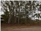 59 Duringan St, Russell Island QLD 4184