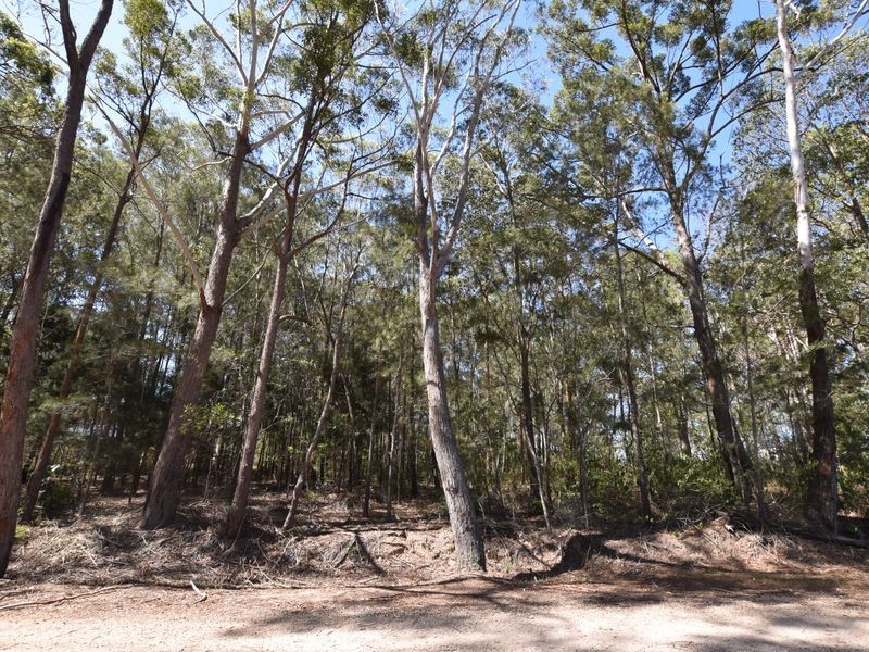 25 Dempsey, Russell Island QLD 4184