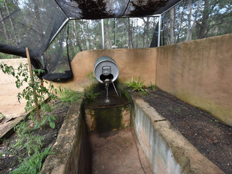 11 Eucalypt Street, Russell Island QLD 4184