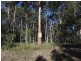 50 Cook Ave, Russell Island QLD 4184