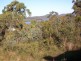 6 Orme, Russell Island QLD 4184