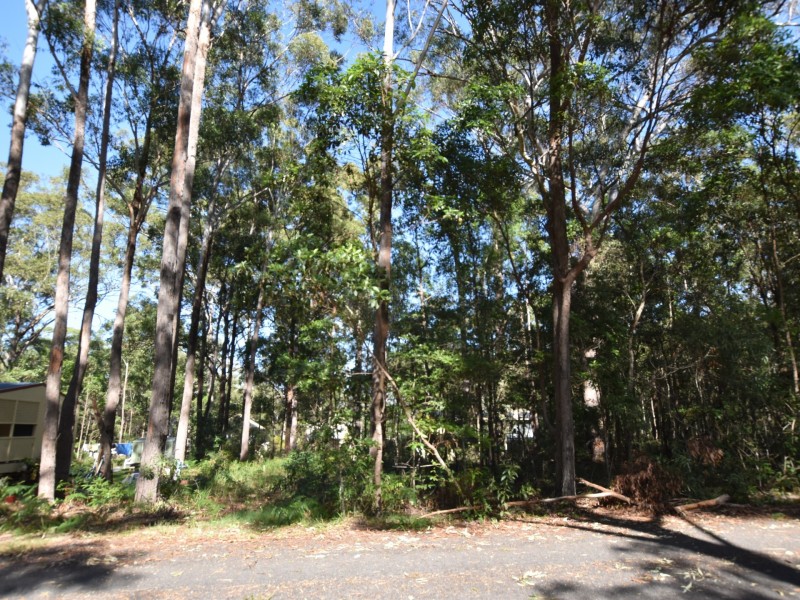 18 Angorra Street, Russell Island QLD 4184