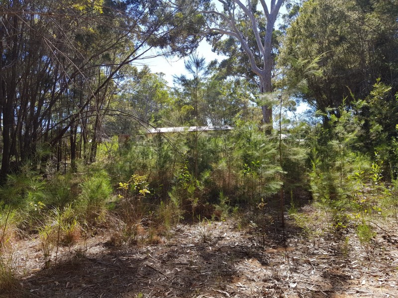 7 Jupiter street, Russell Island QLD 4184