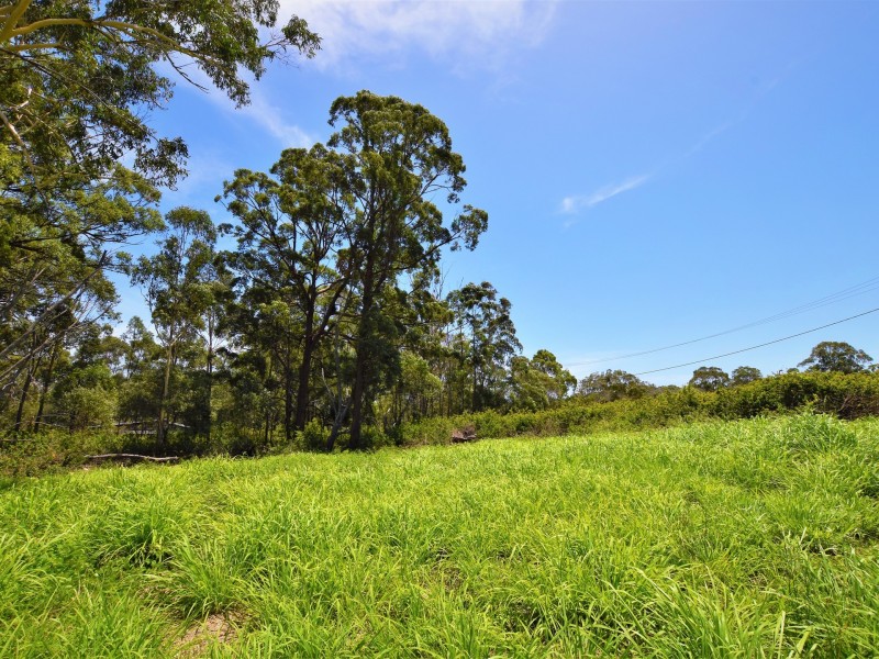 16 Allamanda Street, Russell Island QLD 4184