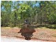 33 Hacking Ridge Rd, Russell Island QLD 4184