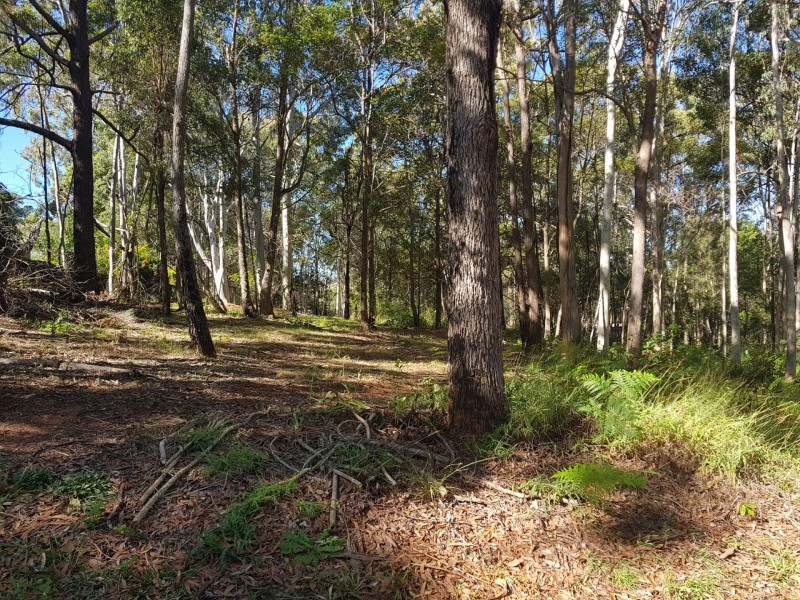 14 Darling Street, Russell Island QLD 4184