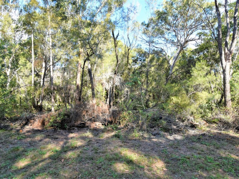 14 Coleus Street, Russell Island QLD 4184