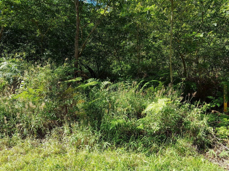 30 Oxley Street, Russell Island QLD 4184