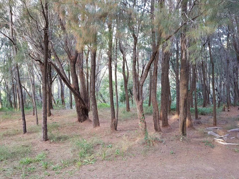 35 Aquamarine Av, Russell Island QLD 4184