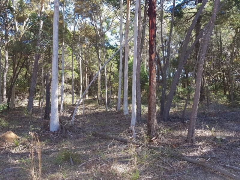 13 Tulloch Street, Russell Island QLD 4184