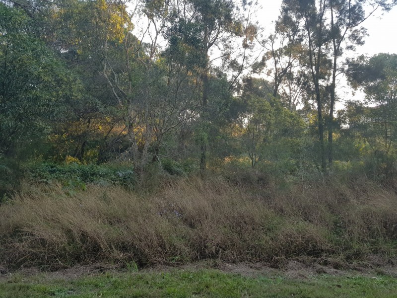 9 Headland Circuit, Russell Island QLD 4184