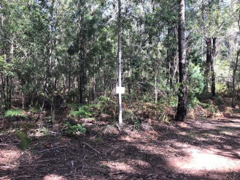 28 Borrows Street, Russell Island QLD 4184