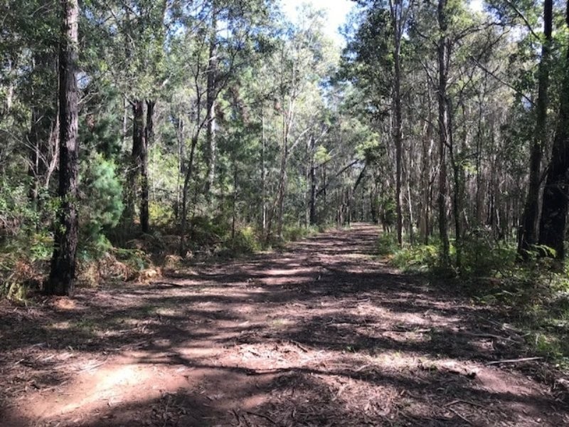 28 Borrows Street, Russell Island QLD 4184