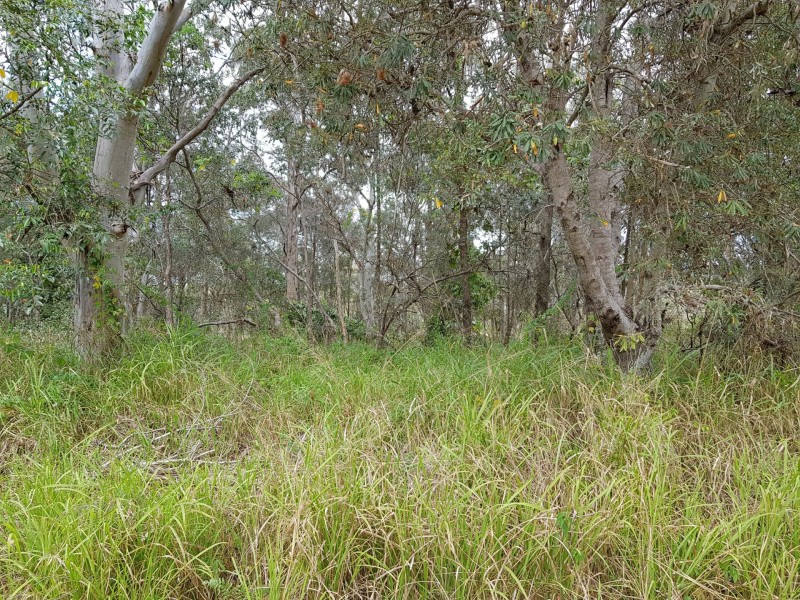 4 Binburra Street, Russell Island QLD 4184