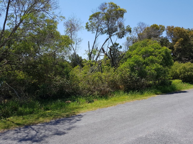 23 Mark Road, Russell Island QLD 4184