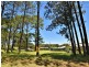 20 Callistemon, Russell Island QLD 4184