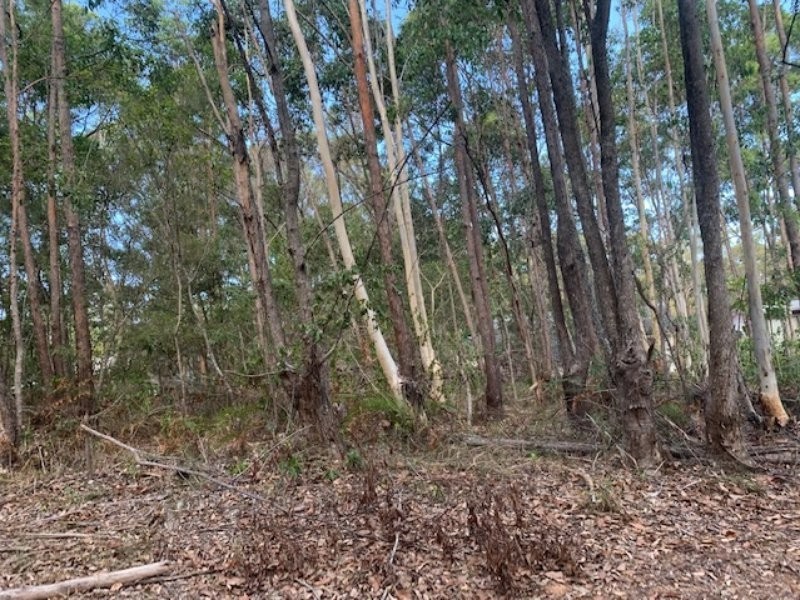 18 Stuart Street, Russell Island QLD 4184