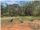 12 Loftus Cres, Russell Island QLD 4184