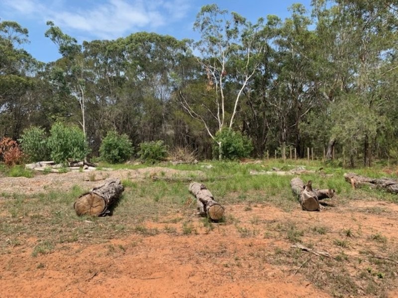 12 Loftus Cres, Russell Island QLD 4184