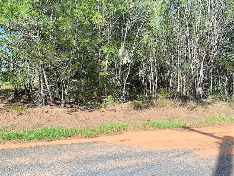 45 Tenanne Street, Russell Island QLD 4184