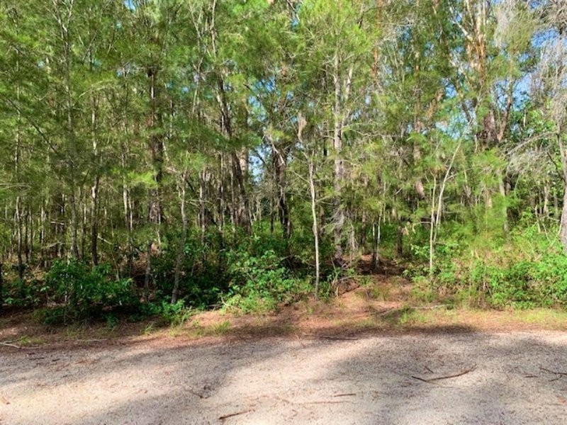 10 Cannes Ave, Russell Island QLD 4184