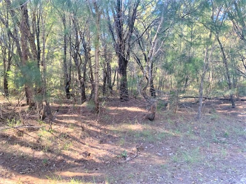 37 Tahlin Drive, Russell Island QLD 4184