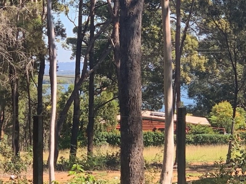 14 Coleous Street, Russell Island QLD 4184