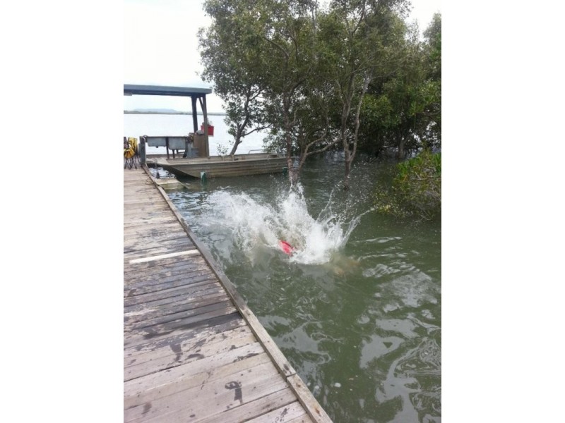 138 Palm Beach Road, Russell Island QLD 4184