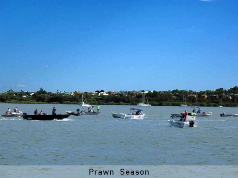 42 Bangalow Street, Russell Island QLD 4184