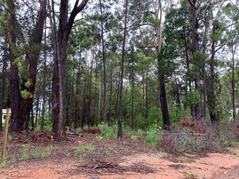 15 Fernbrook Avenue, Russell Island QLD 4184