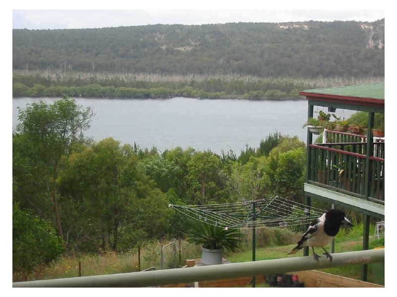 31 Leichhardt Terrace, Russell Island QLD 4184