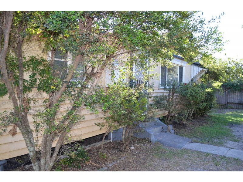 37 Seaville Avenue, Scarborough QLD 4020