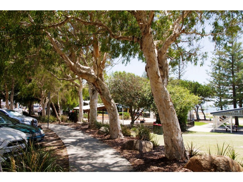 113 Landsborough Avenue, Scarborough QLD 4020