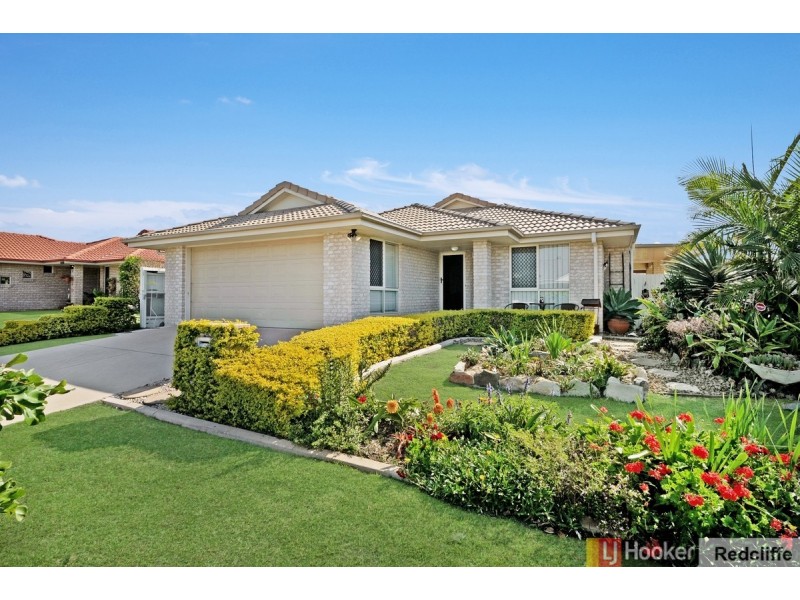 19 Allister Crescent, Rothwell QLD 4022