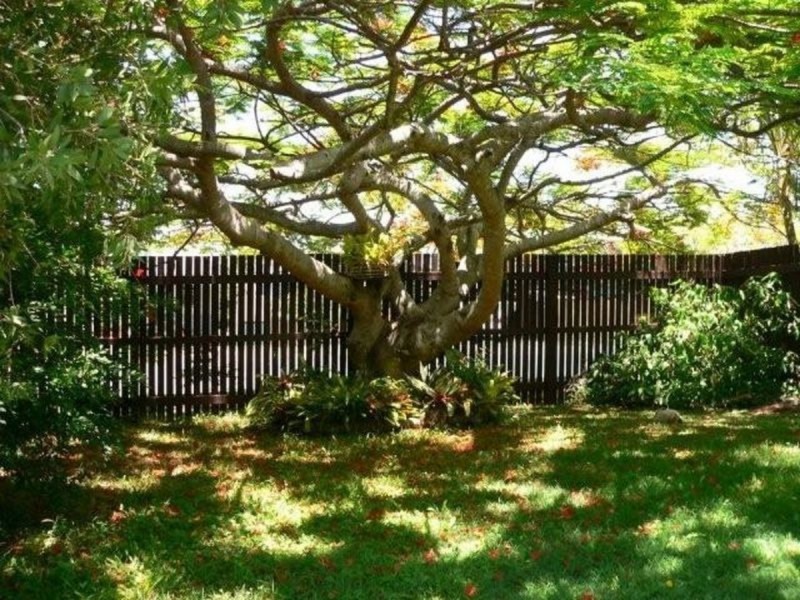 Scarborough QLD 4020